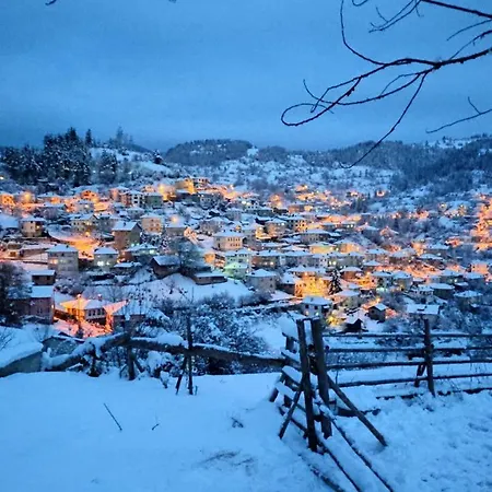 Homestay каневи