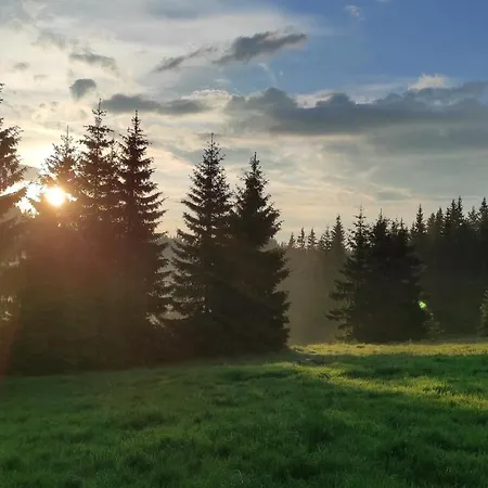 Homestay каневи *