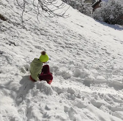 каневи Homestay *