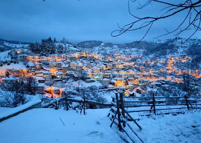 Homestay каневи