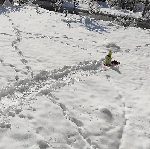 каневи * Momchilovtsi (Smolyan)