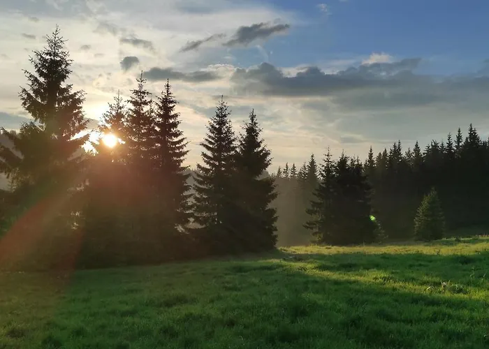 Homestay каневи *